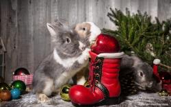 Рождественские кролики
