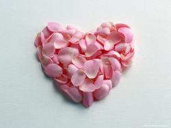 лепестки розовых роз в форме сердца